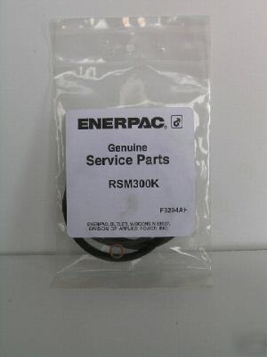 Genuine enerpac RSM300 rsm-300 RSM300K seal kit