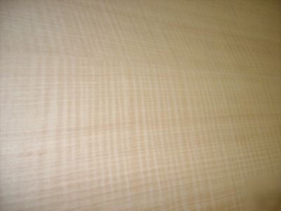 Curly maple veneer sheet 13 sq feet 24 X77 1/16THK V2