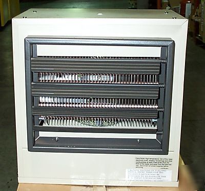 Raywall multi-watt fan forced unit heater