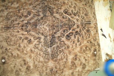 Walnut burl veneer 10 @ 11'' x 13'' [0870]