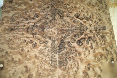 Walnut burl veneer 10 @ 11'' x 13'' [0870]