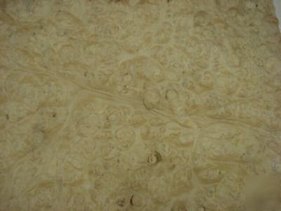 Laurel burl wood veneer