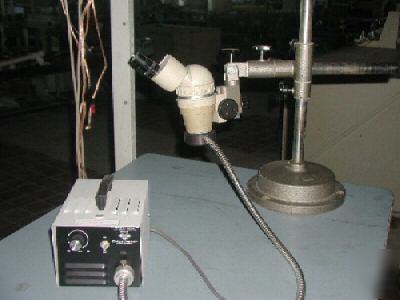 Olimpus 335465 stereo microscope