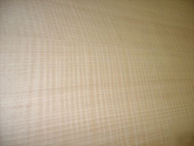 Curly maple veneer sheet 13 sq feet 24 X77 1/16THK V2