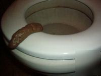 Novelty fake poop crap turd joke gag gross party pooper