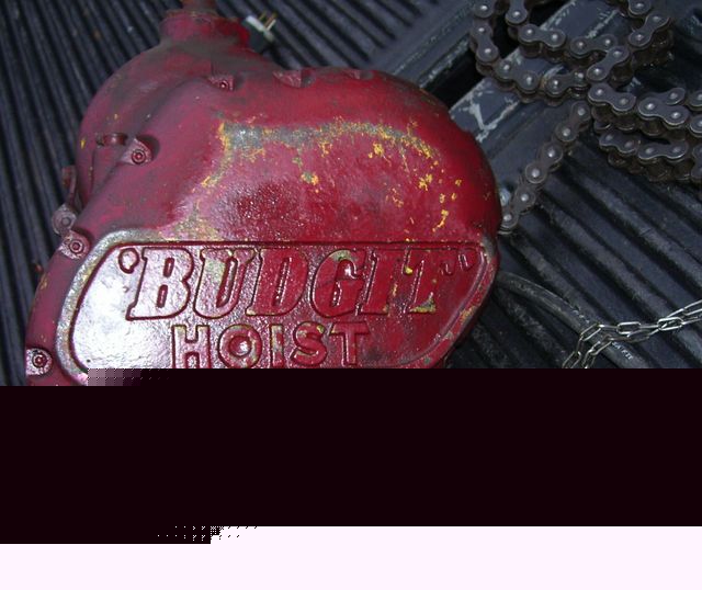 1 ton budget 120 v chain hoist ,single phase
