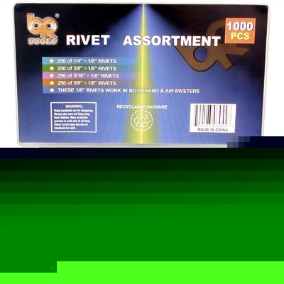 Rivet ass.1000PCS